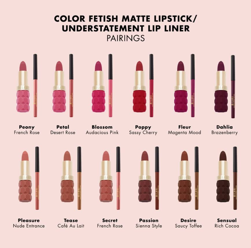Color Fetish Lipstick and Understatement Lipliner Bundle - Petal & Desert Rose