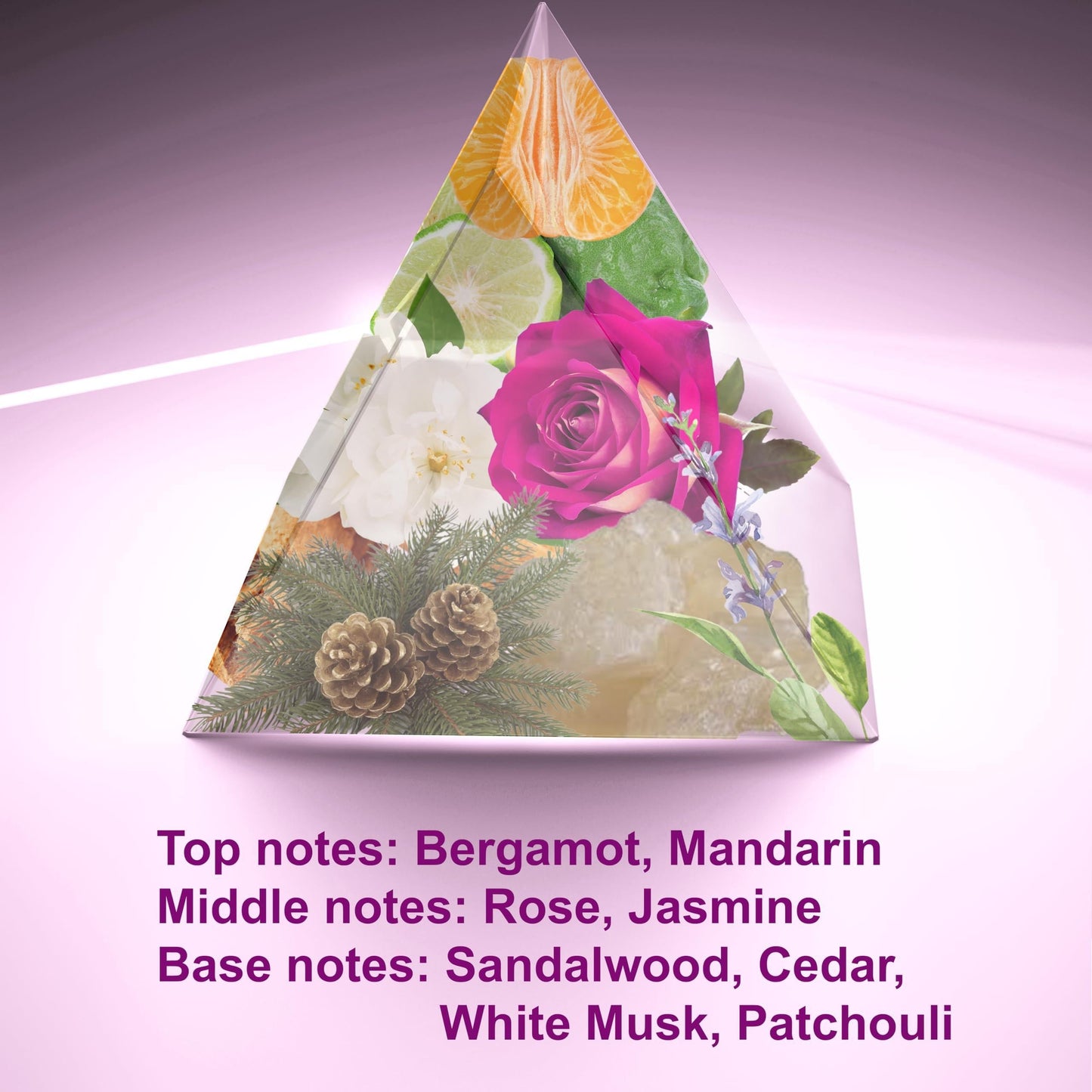 SOUL No. 2401 Impression of Joy Perfume for Women Women Eau De Parfum Spray 4.0 Fl Oz 120 Ml Long Lasting Fragrance Christmas Gifts for Women