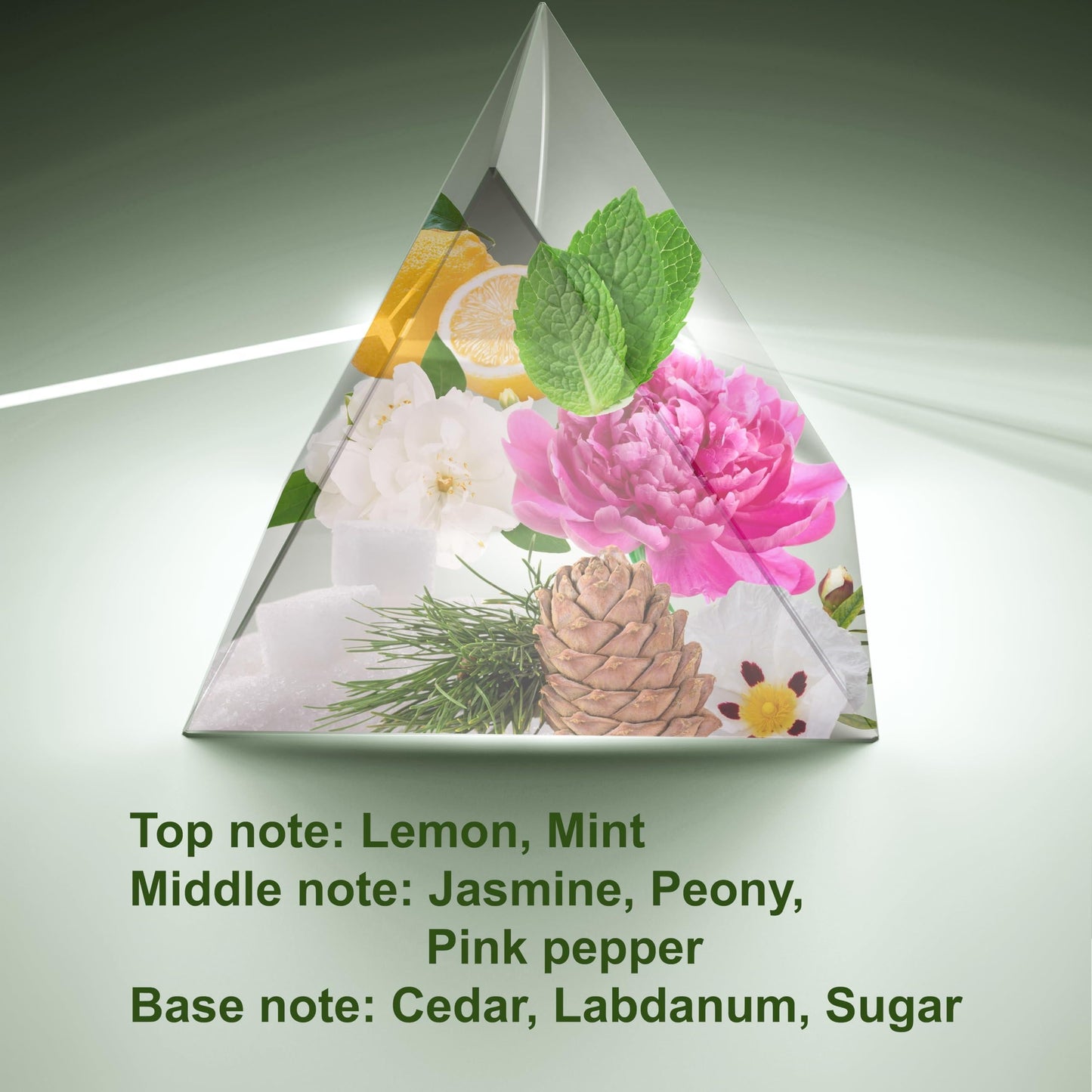 SOUL No. 2101 Impression of Acqua Di Gioia Perfume for Women Women Eau De Parfum Spray 4.0 Fl Oz 120 Ml Long Lasting Fragrance Christmas Gifts for Women