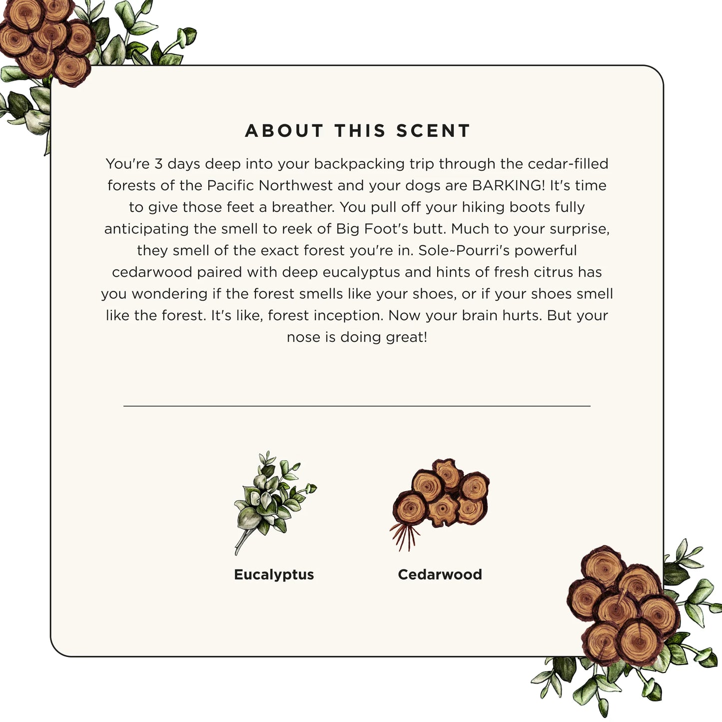 Cedarwood & Eucalyptus Foot Odor Refresher Spray – 3.4 oz for Shoes and Feet