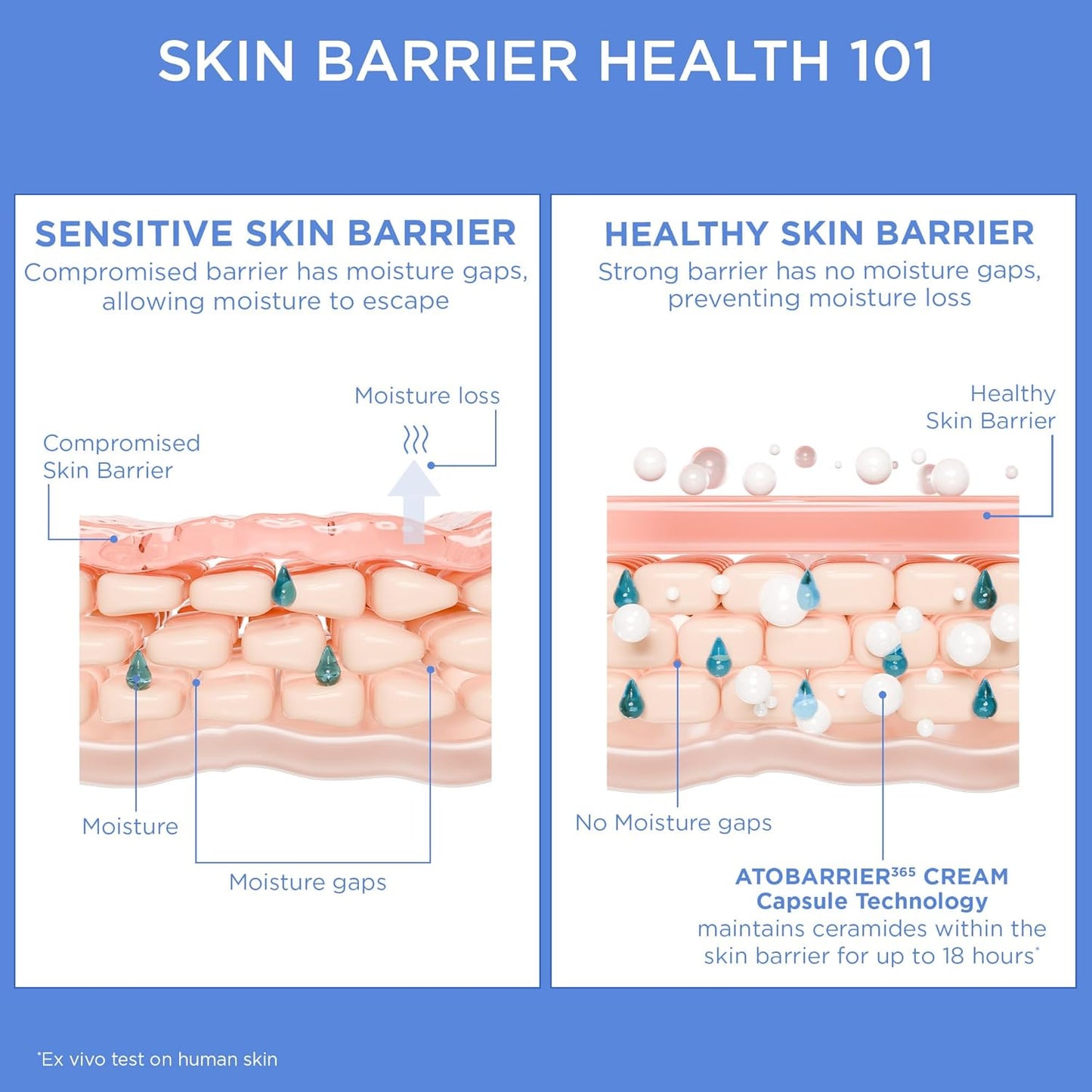 ATOBARRIER365 Cream with Ceramides, Korean Face Moisturizer for Barrier Repair | 120H Lasting Hydration, Ceramide Capsules, Dry & Sensitive Skin, Non-Comedogenic, 80 Ml / 2.70 Fl.Oz.