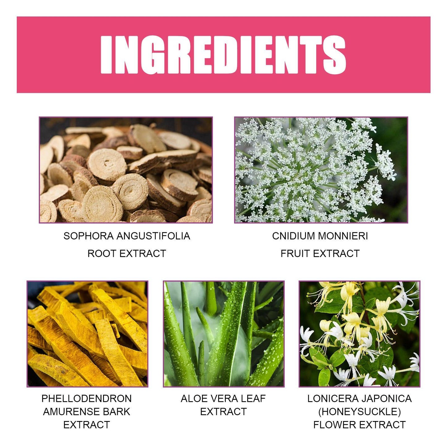 Ximonth Postpartum Repair Capsules